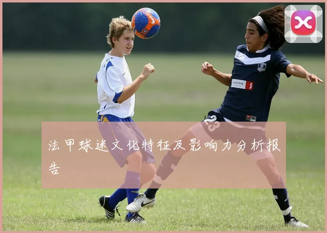 法甲球迷文化特征及影响力分析报告
