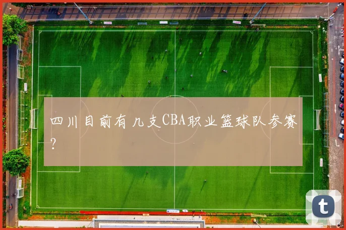 四川目前有几支CBA职业篮球队参赛？