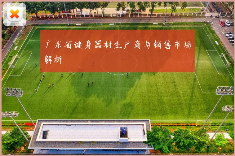 广东省健身器材生产商与销售市场解析